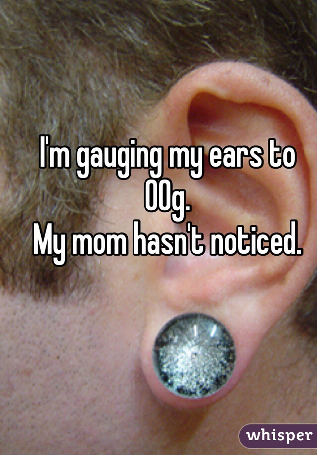 I'm gauging my ears to 00g. 
My mom hasn't noticed. 