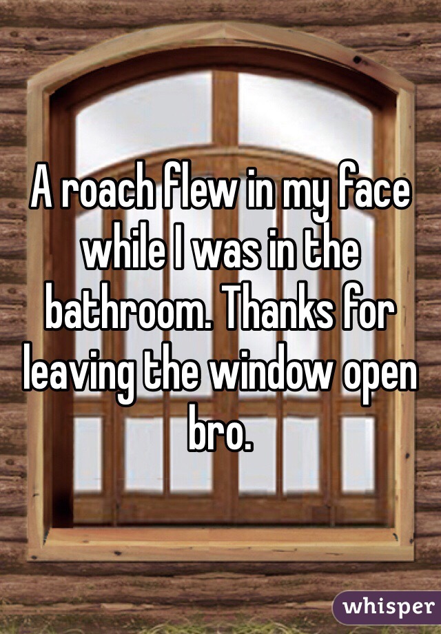 A roach flew in my face while I was in the bathroom. Thanks for leaving the window open bro.  