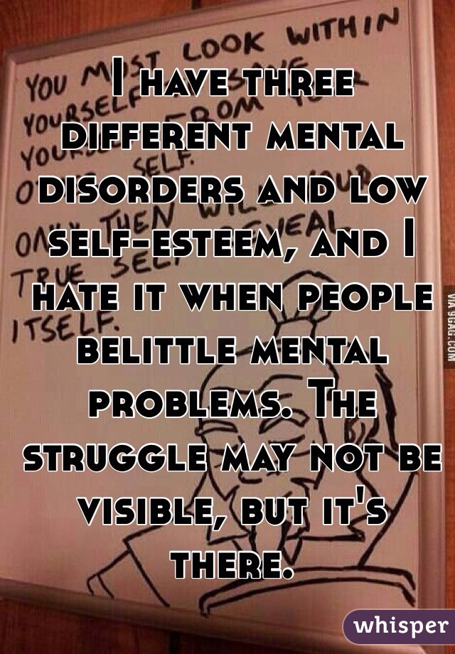 I have three different mental disorders and low self-esteem, and I hate it when people belittle mental problems. The struggle may not be visible, but it's there. 