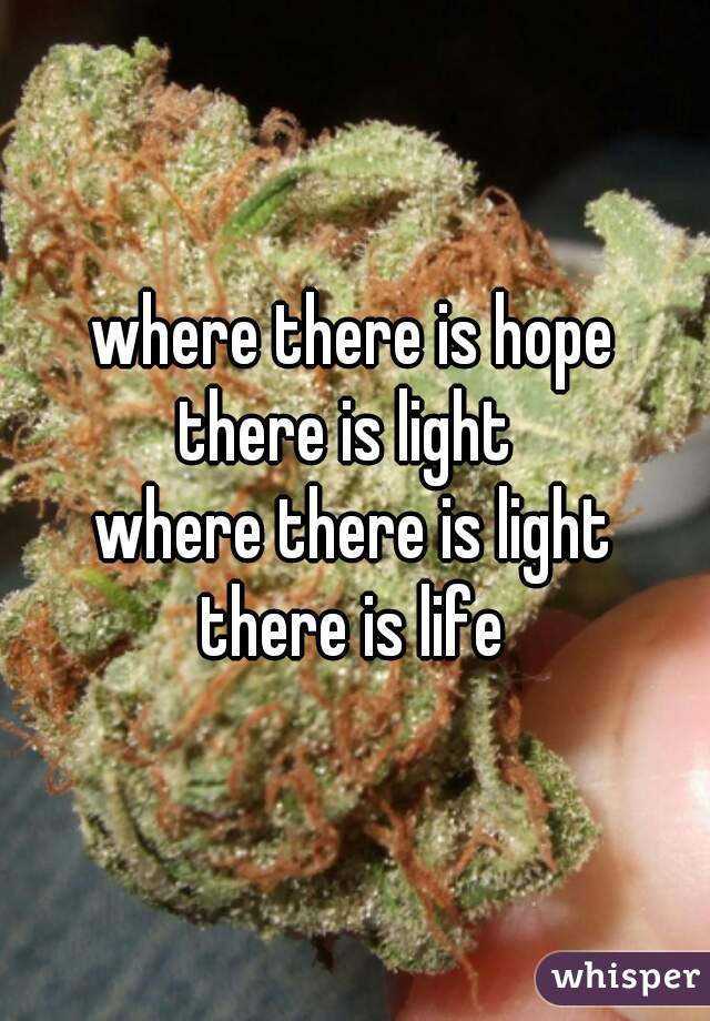 where there is hope
there is light 
where there is light
there is life