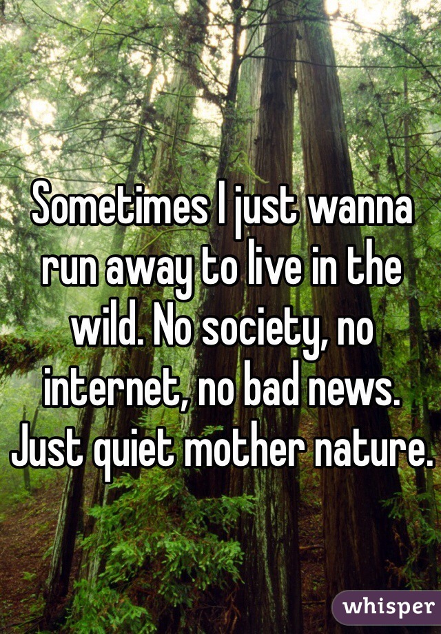 Sometimes I just wanna run away to live in the wild. No society, no internet, no bad news. Just quiet mother nature.