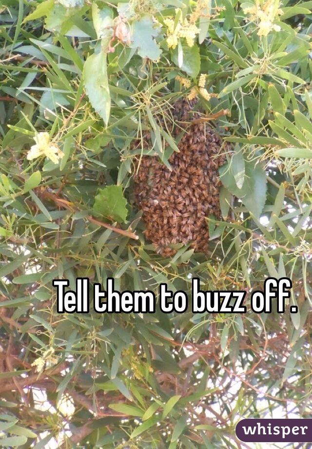 Tell them to buzz off. 