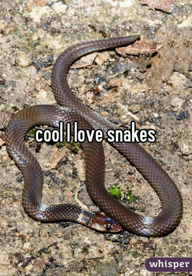 cool I love snakes