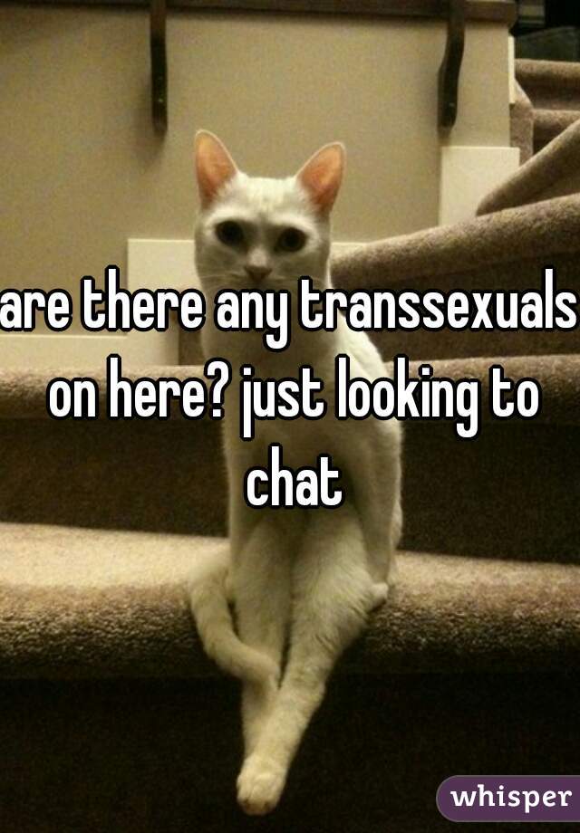 are there any transsexuals on here? just looking to chat