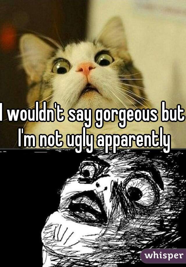 I wouldn't say gorgeous but I'm not ugly apparently