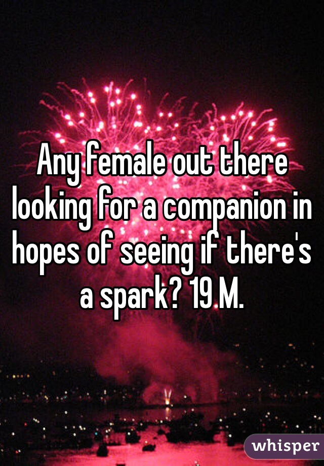 Any female out there looking for a companion in hopes of seeing if there's a spark? 19 M. 