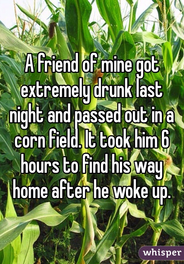 A friend of mine got extremely drunk last night and passed out in a corn field. It took him 6 hours to find his way home after he woke up. 