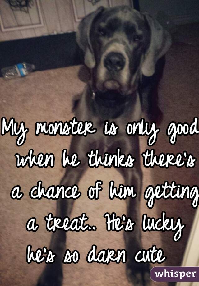My monster is only good when he thinks there's a chance of him getting a treat.. He's lucky he's so darn cute  