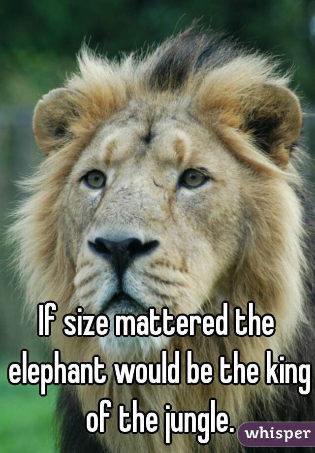 If size mattered the elephant would be the king of the jungle.
