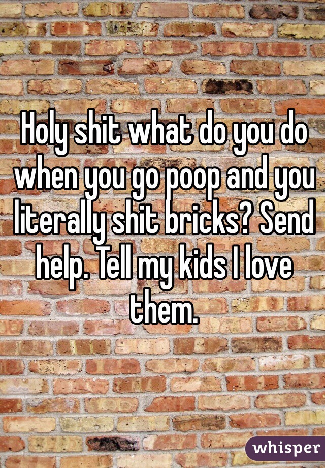 Holy shit what do you do when you go poop and you literally shit bricks? Send help. Tell my kids I love them.