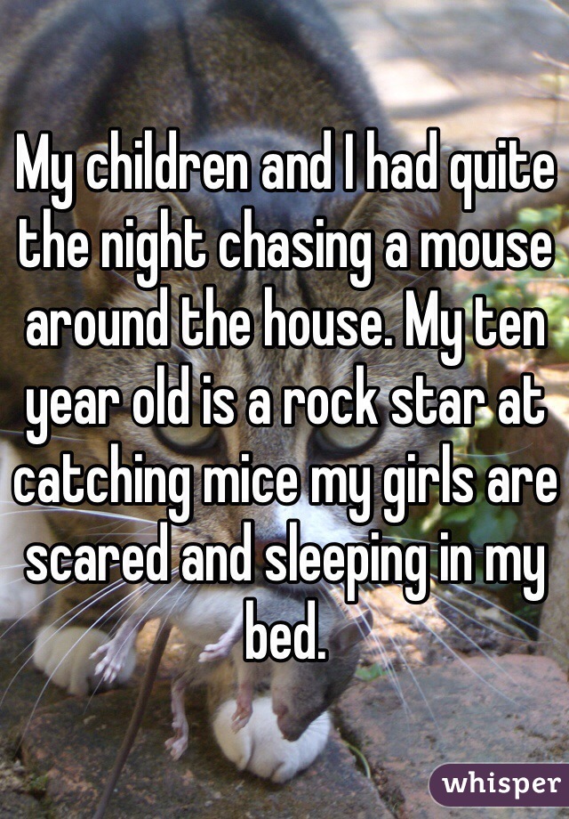 My children and I had quite the night chasing a mouse around the house. My ten year old is a rock star at catching mice my girls are scared and sleeping in my bed. 