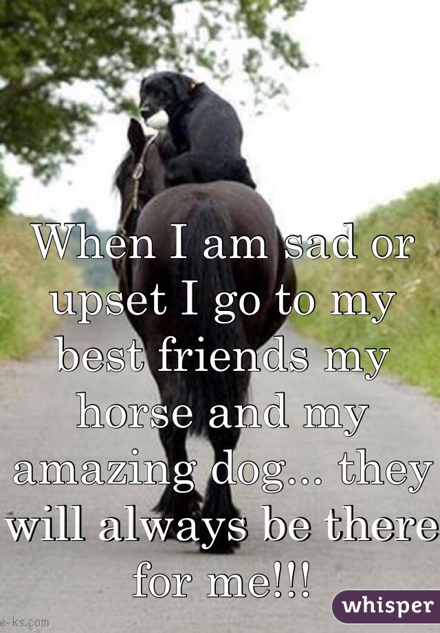 When I am sad or upset I go to my best friends my horse and my amazing dog... they will always be there for me!!!