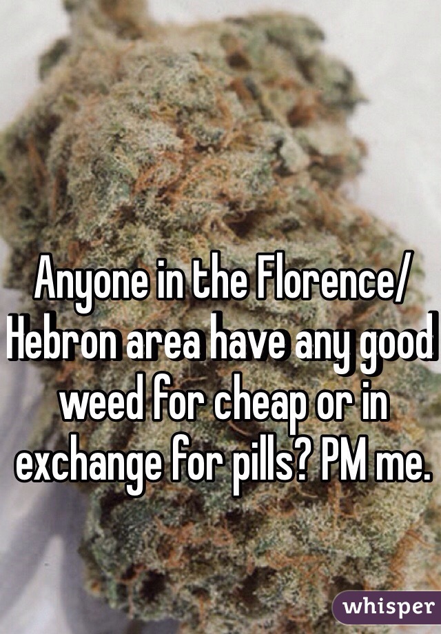 Anyone in the Florence/ Hebron area have any good weed for cheap or in exchange for pills? PM me.