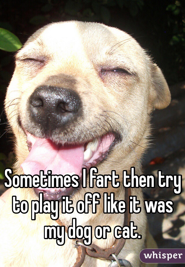 Sometimes I fart then try to play it off like it was my dog or cat.
