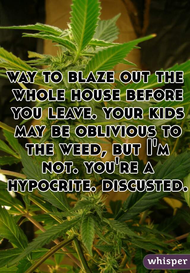 way to blaze out the whole house before you leave. your kids may be oblivious to the weed, but I'm not. you're a hypocrite. discusted.