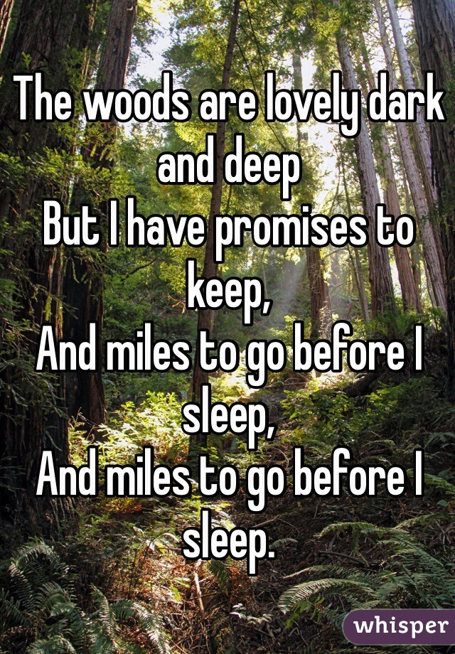 The woods are lovely dark and deep
But I have promises to keep,
And miles to go before I sleep,
And miles to go before I sleep.