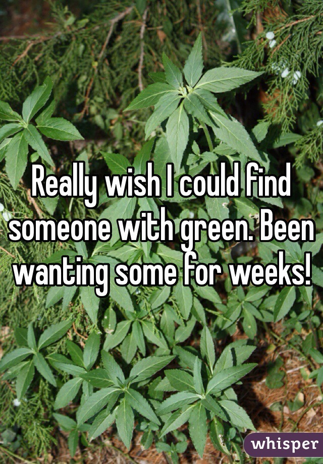 Really wish I could find someone with green. Been wanting some for weeks! 