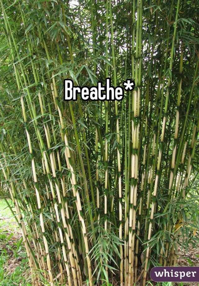 Breathe*