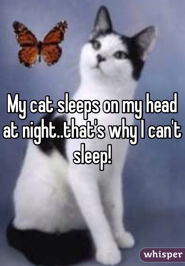 My cat sleeps on my head at night..that's why I can't sleep! 