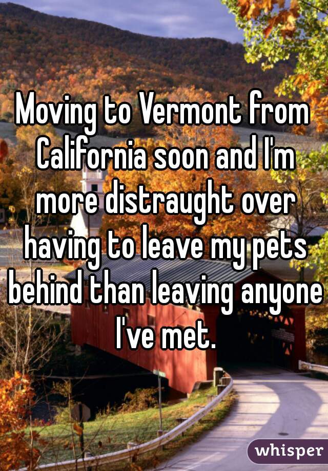Moving to Vermont from California soon and I'm more distraught over having to leave my pets behind than leaving anyone I've met.