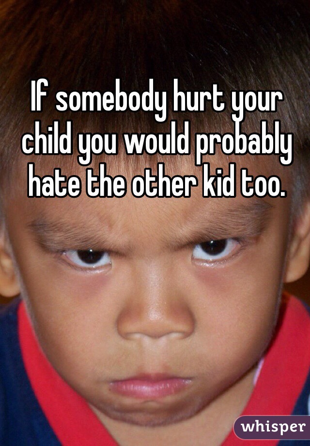 If somebody hurt your child you would probably hate the other kid too.