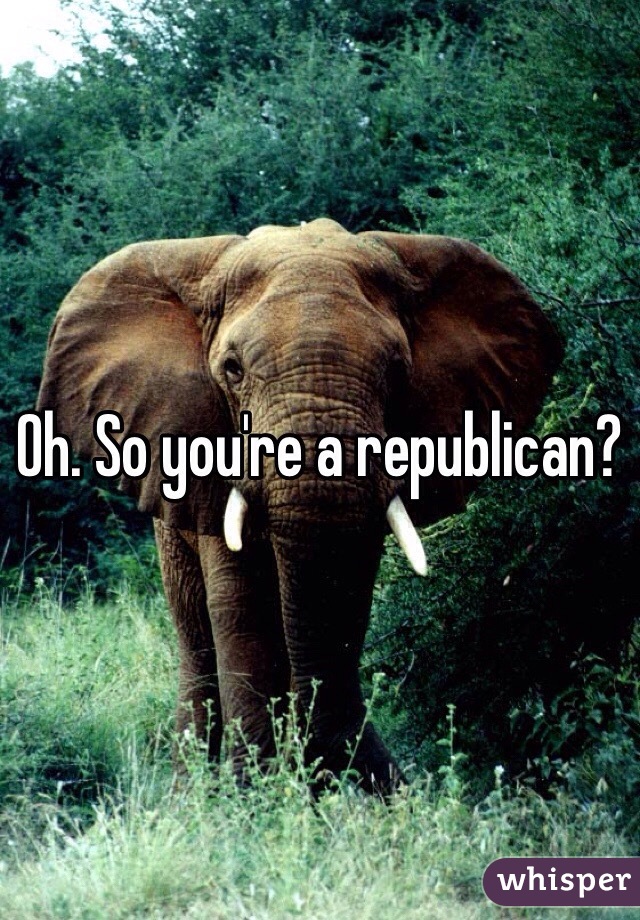 Oh. So you're a republican? 