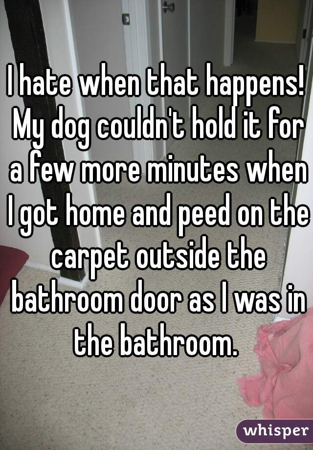 I hate when that happens! My dog couldn't hold it for a few more minutes when I got home and peed on the carpet outside the bathroom door as I was in the bathroom. 