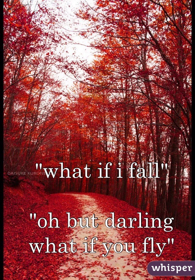 "what if i fall"

"oh but darling what if you fly"
