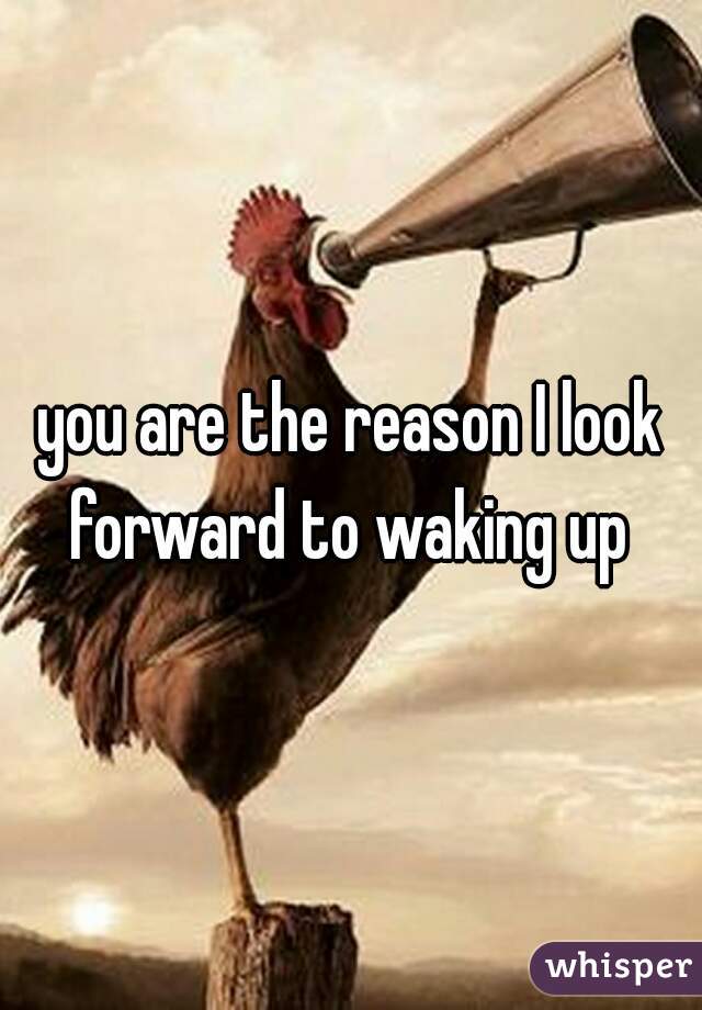 you are the reason I look forward to waking up 
