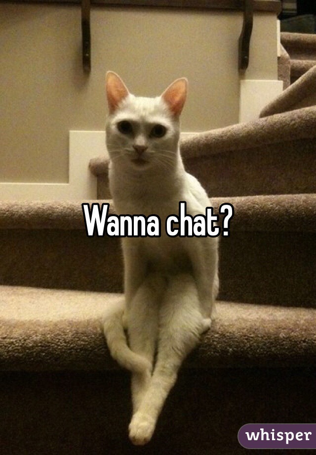 Wanna chat?
