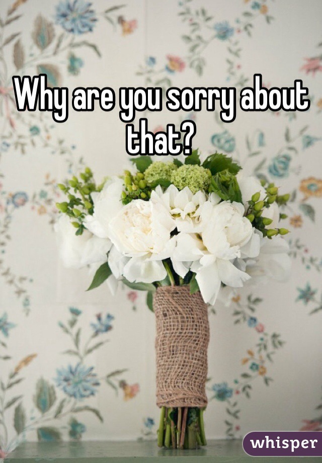 Why are you sorry about that? 