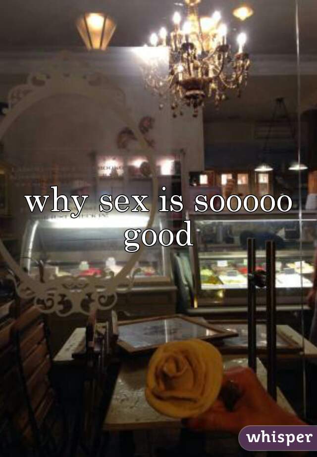 why sex is sooooo good 