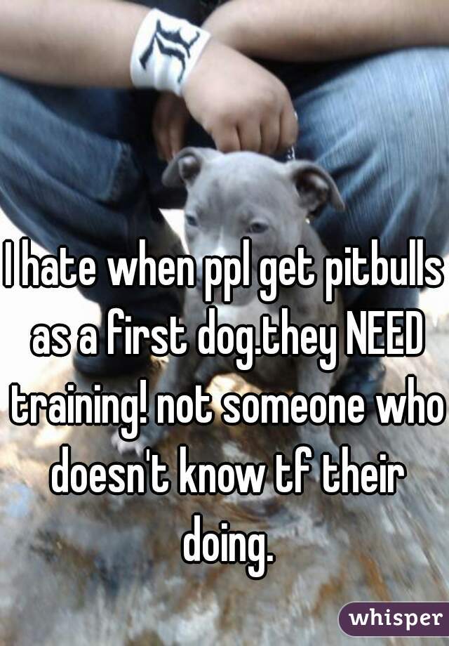 I hate when ppl get pitbulls as a first dog.they NEED training! not someone who doesn't know tf their doing.