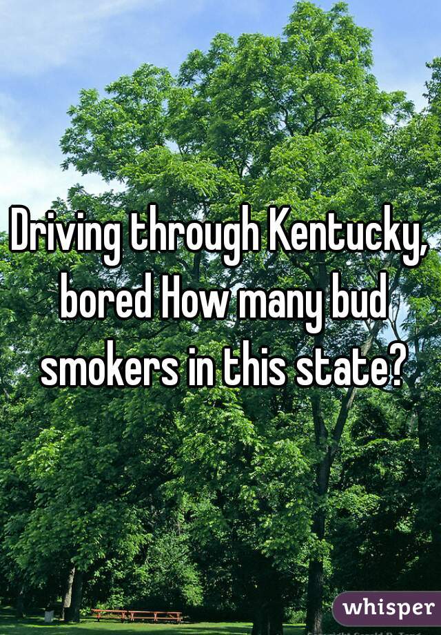 Driving through Kentucky, bored How many bud smokers in this state?