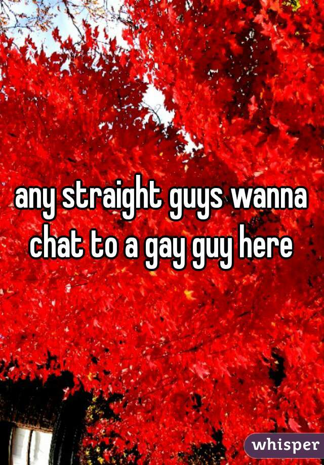 any straight guys wanna chat to a gay guy here 