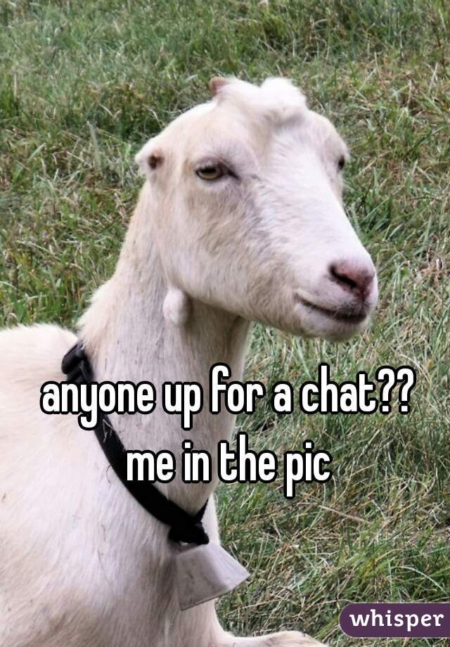 anyone up for a chat??

me in the pic