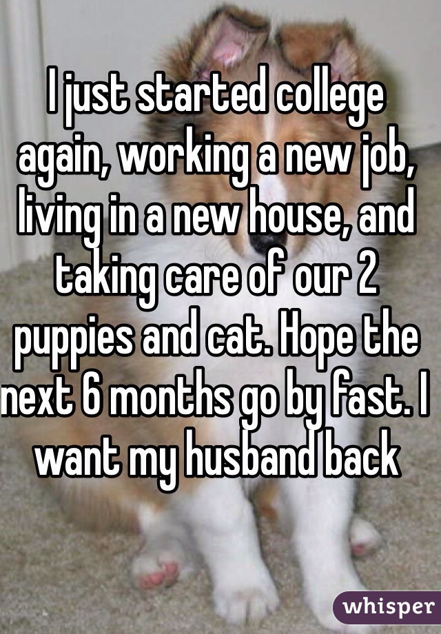 I just started college again, working a new job, living in a new house, and taking care of our 2 puppies and cat. Hope the next 6 months go by fast. I want my husband back