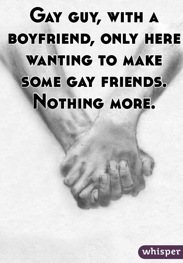 Gay guy, with a boyfriend, only here wanting to make some gay friends.
Nothing more.