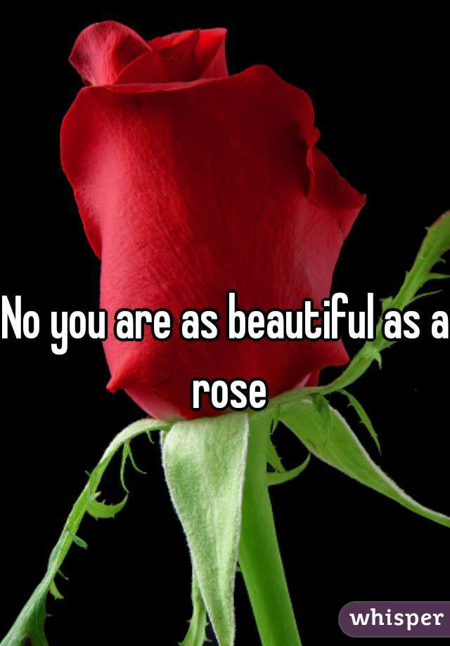 No you are as beautiful as a rose