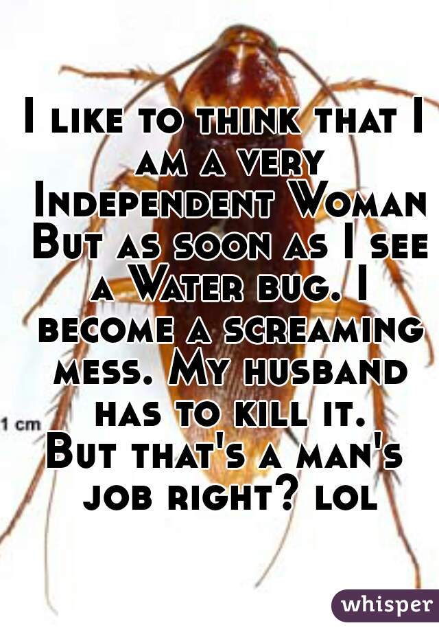 I like to think that I am a very Independent Woman But as soon as I see a Water bug. I become a screaming mess. My husband has to kill it.
But that's a man's job right? lol