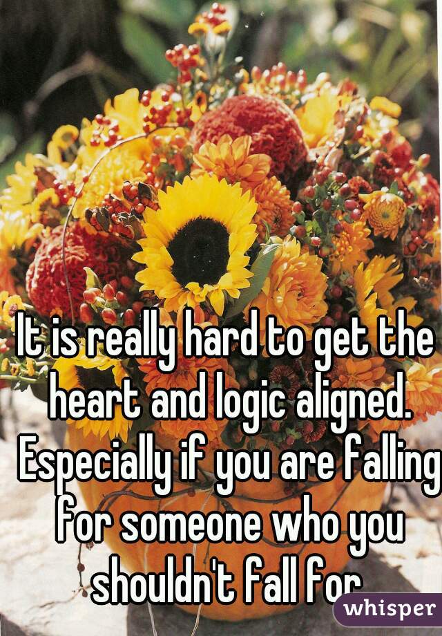 It is really hard to get the heart and logic aligned. Especially if you are falling for someone who you shouldn't fall for.