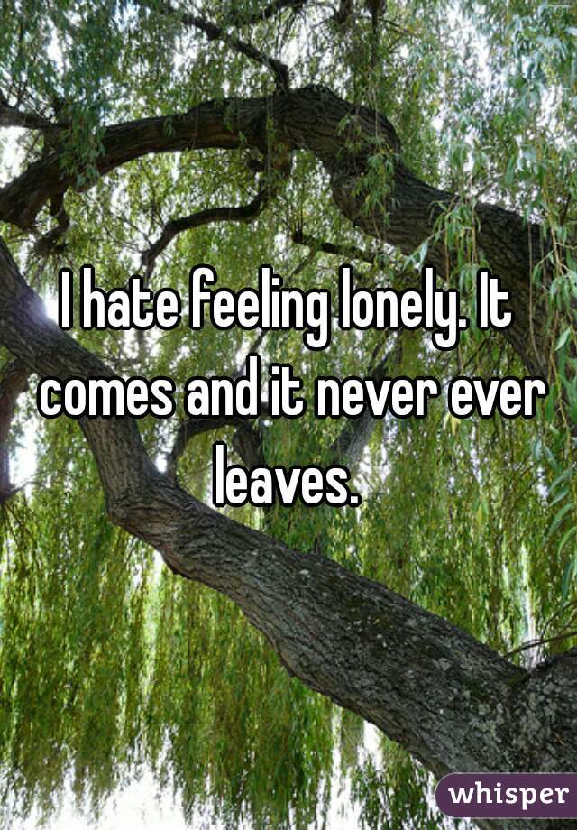 I hate feeling lonely. It comes and it never ever leaves. 