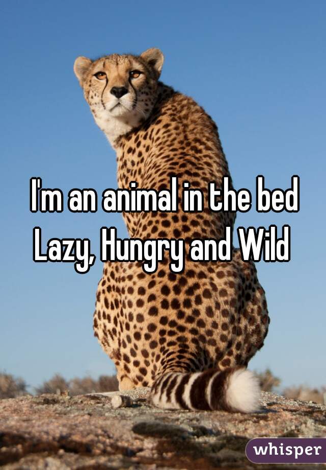  I'm an animal in the bed
Lazy, Hungry and Wild