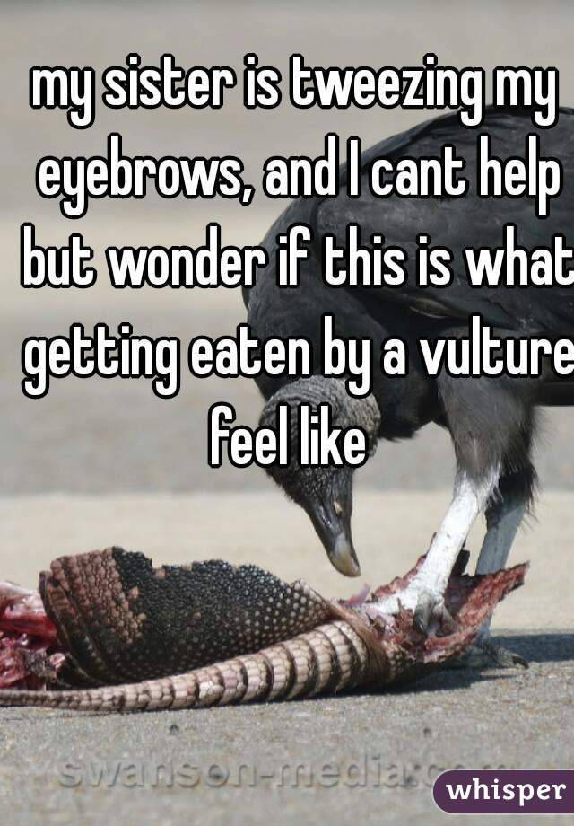 my sister is tweezing my eyebrows, and I cant help but wonder if this is what getting eaten by a vulture feel like  