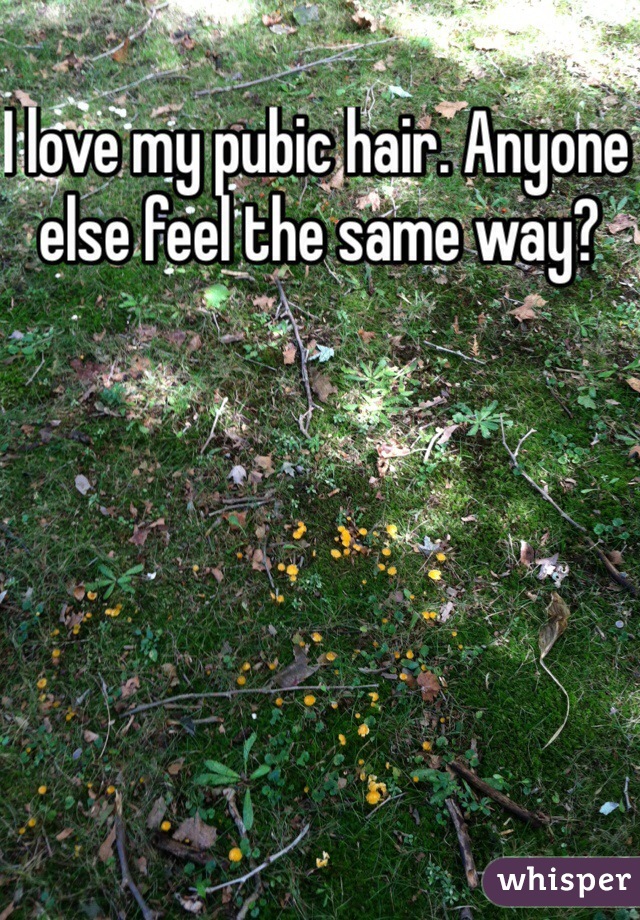 I love my pubic hair. Anyone else feel the same way?