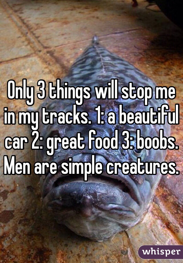 Only 3 things will stop me in my tracks. 1: a beautiful car 2: great food 3: boobs. Men are simple creatures. 