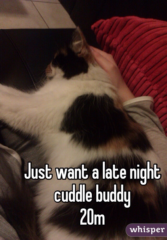 Just want a late night cuddle buddy
20m