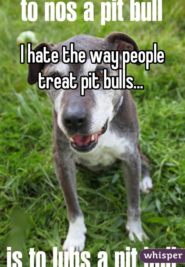 I hate the way people treat pit bulls... 