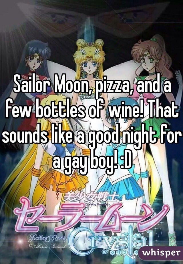 Sailor Moon, pizza, and a few bottles of wine! That sounds like a good night for a gay boy! :D 