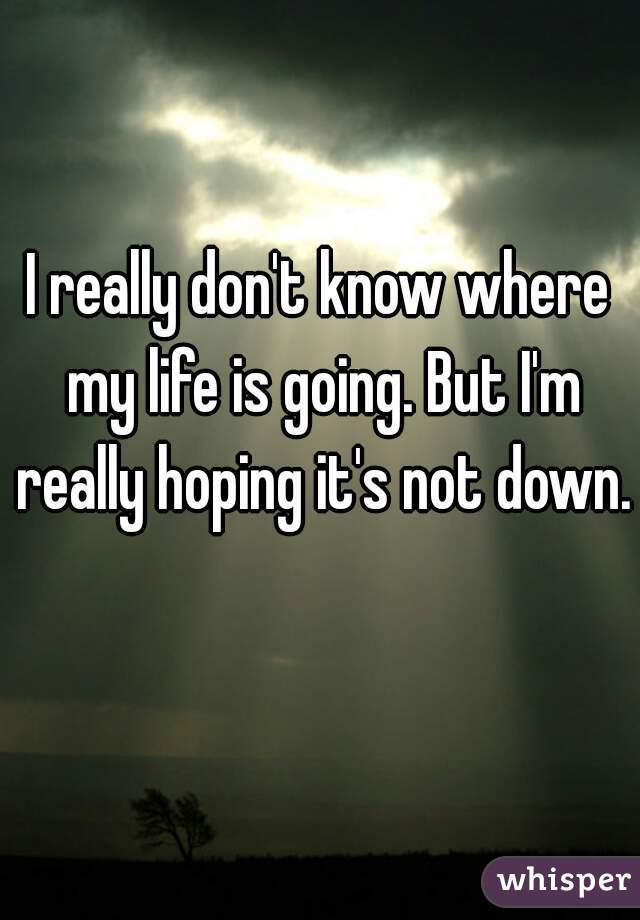 I really don't know where my life is going. But I'm really hoping it's not down.  